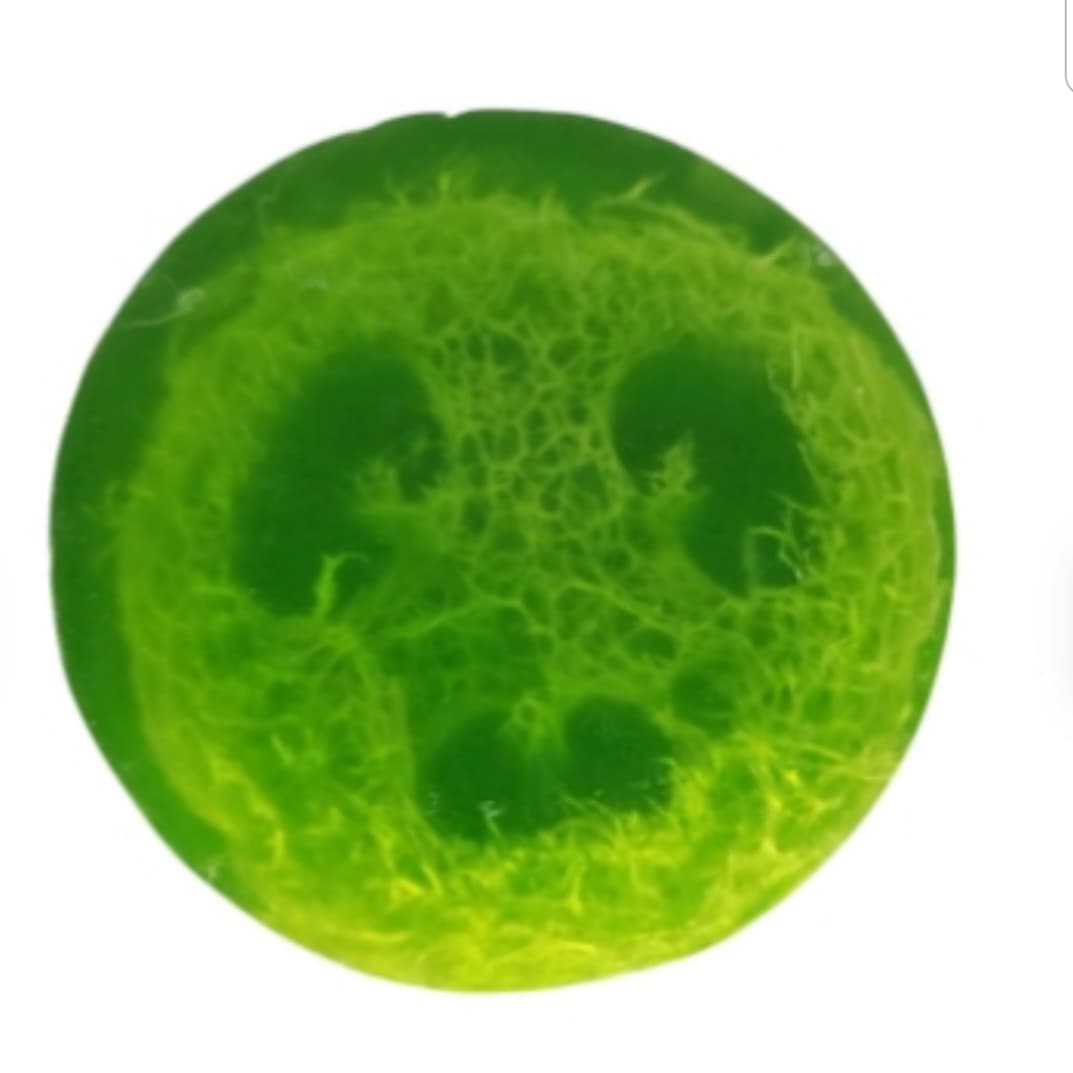 LOOFAH SOAP